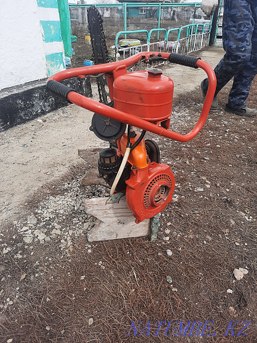 chainsaw friendship Ust-Kamenogorsk - photo 3