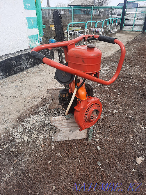 chainsaw friendship Ust-Kamenogorsk - photo 2