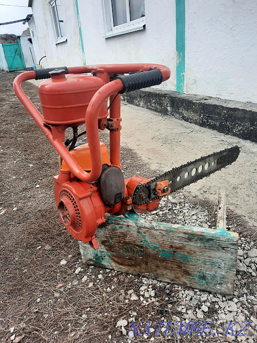 chainsaw friendship Ust-Kamenogorsk - photo 8