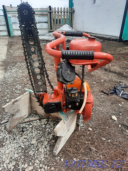 chainsaw friendship Ust-Kamenogorsk - photo 4