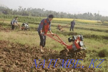 Plowing the land digging the land of the vegetable garden of the zher koparamyz site Astana - photo 1