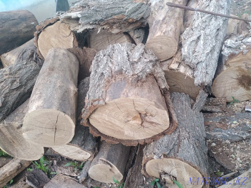 Работы бензопилой Актобе - изображение 1