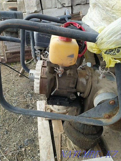 Раммерлер жақсы жағдайда  Алматы - изображение 1