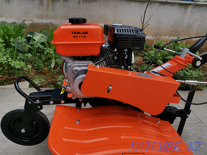 TARLAN MT-1150 motor-block cultivator Astana - photo 5