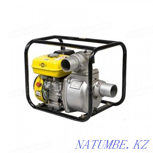 Motor pump Almaty - photo 1