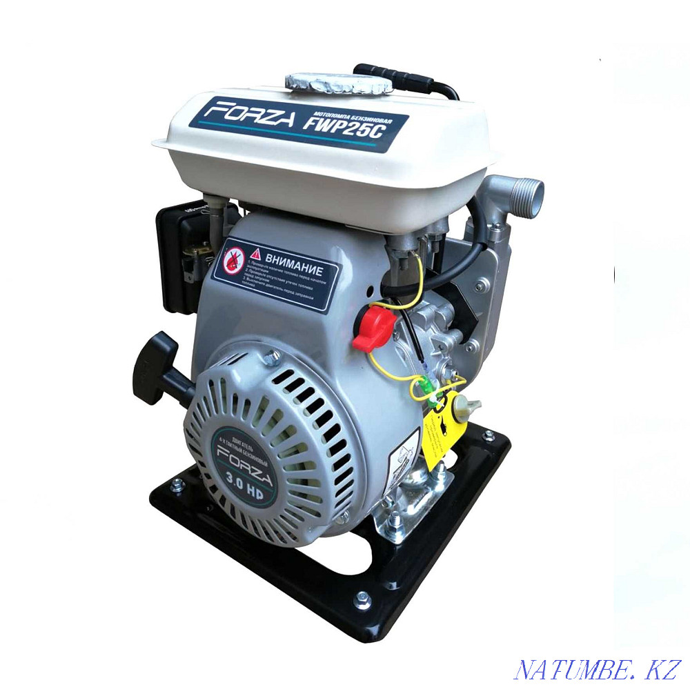 Мотопомпа FORZA FWP50C Астана - изображение 2