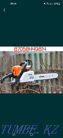 Sawing Trees Chainsaw Taraz - photo 1