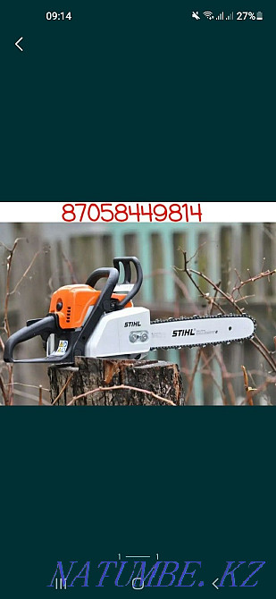 Sawing Trees Chainsaw Taraz - photo 1