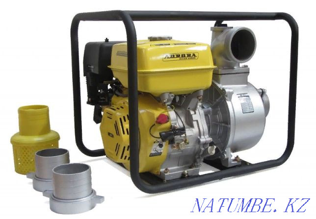 Professional motor pumps for dirty and clean water AURORA PRO AMP Kostanay - photo 2