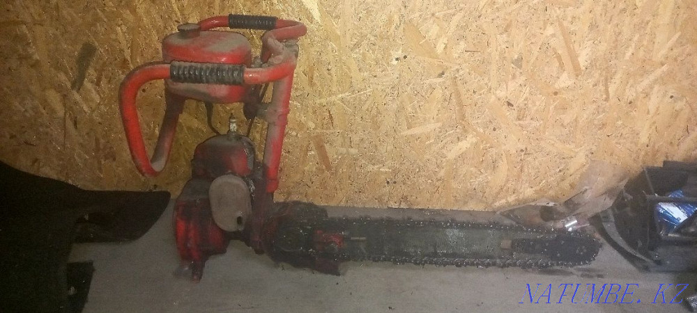 Chainsaw Friendship Жетыген - photo 1