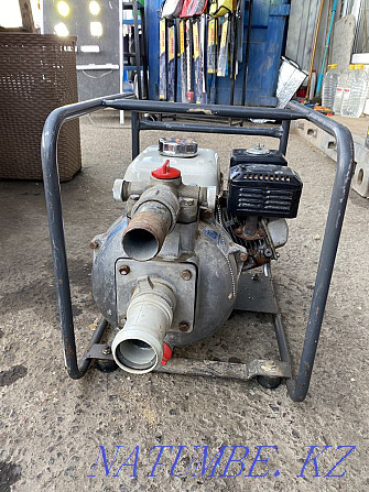 Motor pump Astana - photo 2