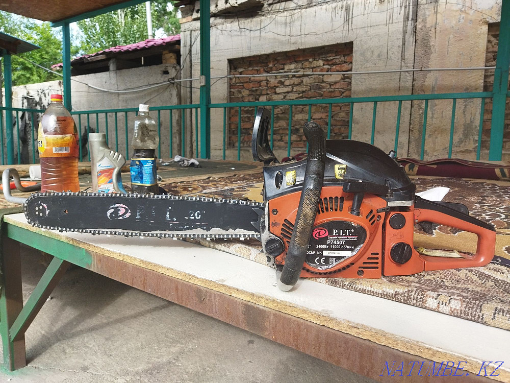 шынжырлы ара  - изображение 1