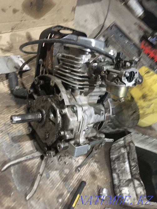 Lawn mower engine Shymkent - photo 4