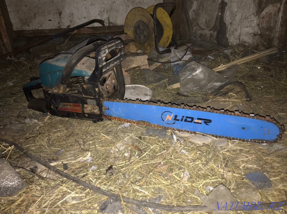 Продам бензопилу Тельмана - изображение 3