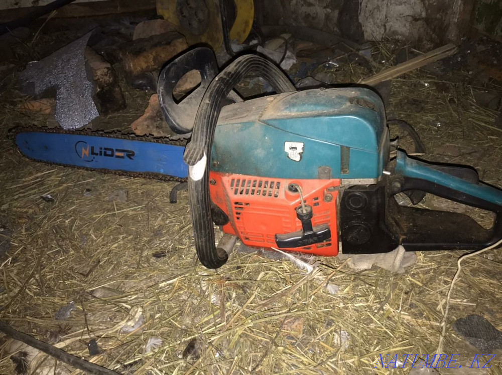 Продам бензопилу Тельмана - изображение 1