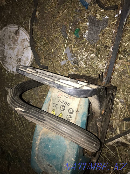 Продам бензопилу Тельмана - изображение 2