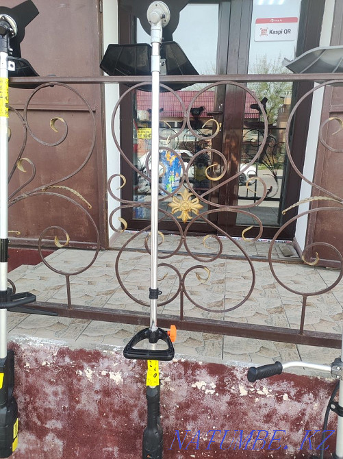 Benzo electric trimmers Taraz - photo 2