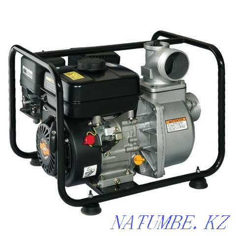 Motor pump for watering the garden Astana - photo 1