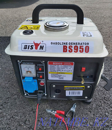 BIZON portable gasoline generator for sale Almaty - photo 1