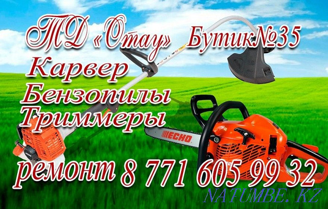 Chainsaw and trimmer repair Kokshetau - photo 1