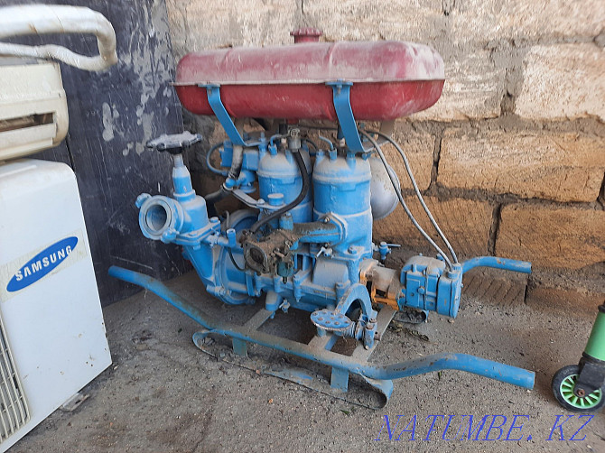 Motor pump mp 800 Aqtau - photo 2