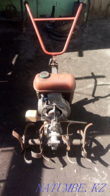 circular saw (3 in 1 cultivator, circular saw, pump) Petropavlovsk - photo 1