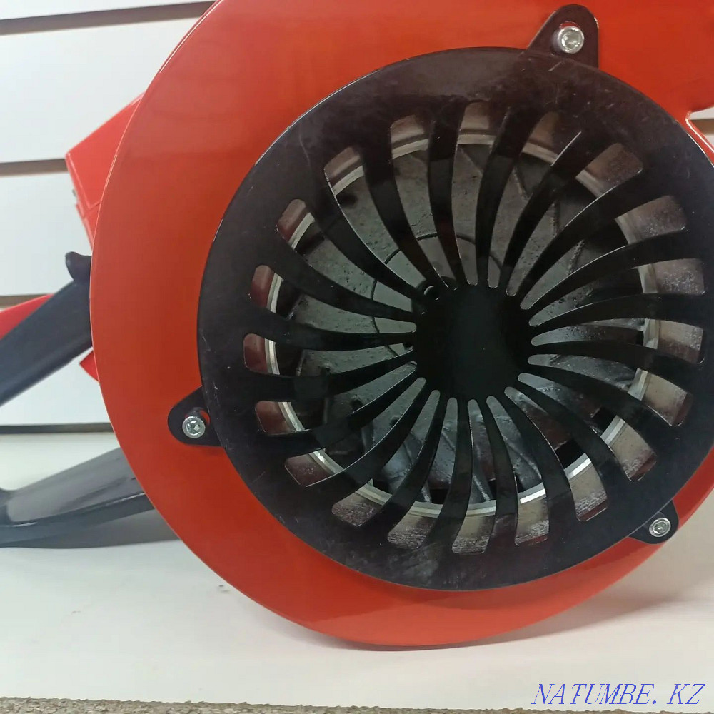 Petrol chimney sweep. Chimney sweep. Almaty - photo 5