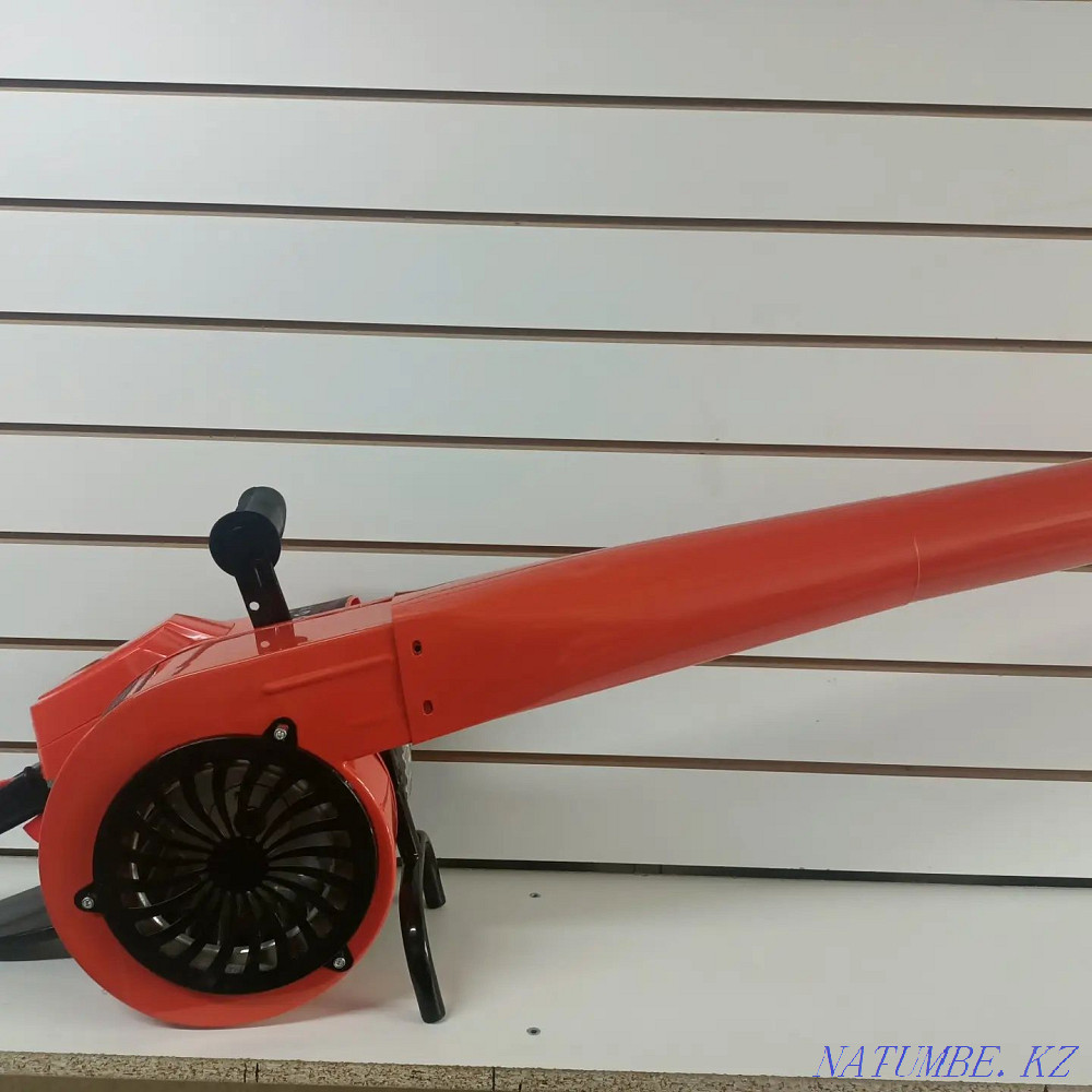 Petrol chimney sweep. Chimney sweep. Almaty - photo 3