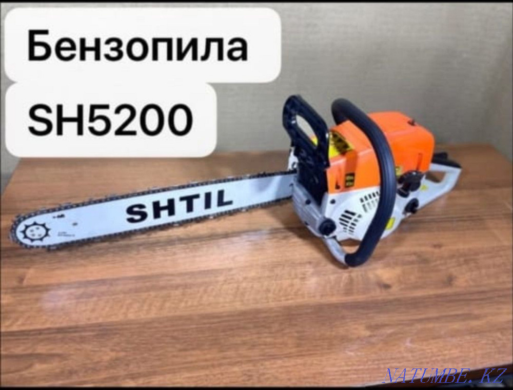 Шынжырлы ара  - изображение 1