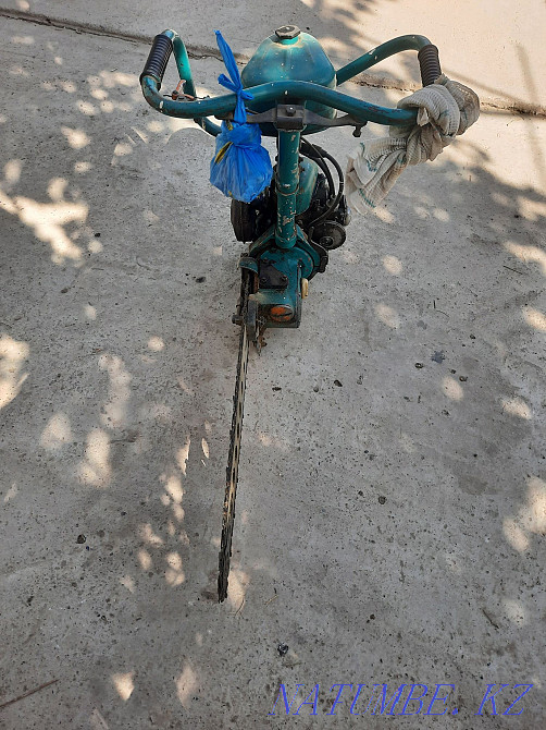 Friendship chainsaw for sale Shymkent - photo 1