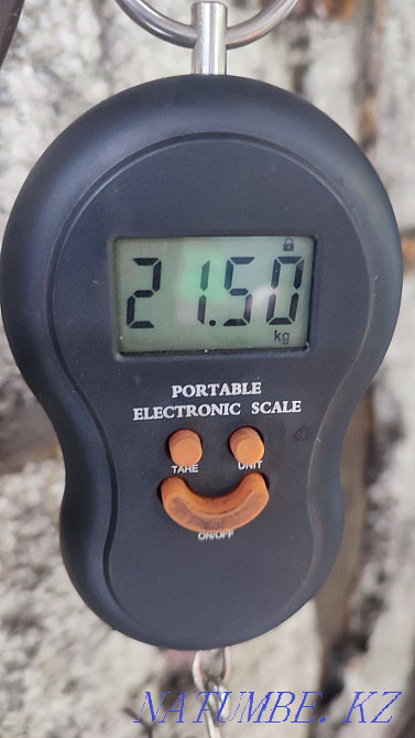 I will sell I will hand over a rammer Pavlodar - photo 3