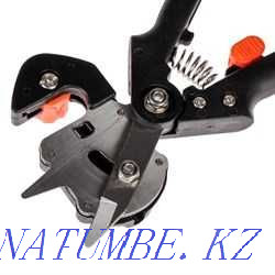 Secateurs grafting professional, plastic handles. Petropavlovsk - photo 1