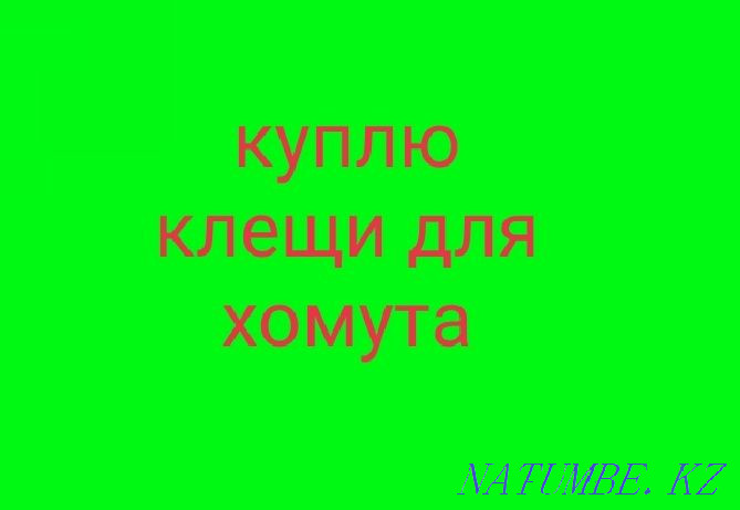 Клещи для хомута Рудный - изображение 1