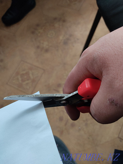 Metal shears Astana - photo 4