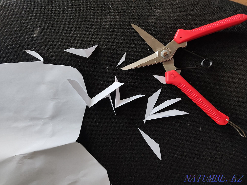 Metal shears Astana - photo 3