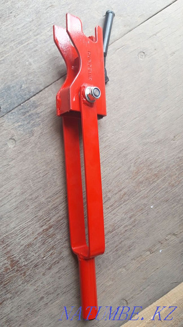 Chiroz, clip, key for chiroz Astana - photo 2