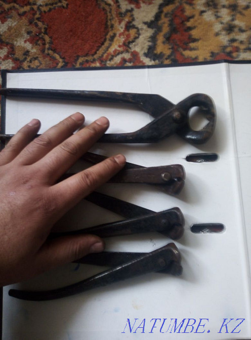 wire cutters Rudnyy - photo 3