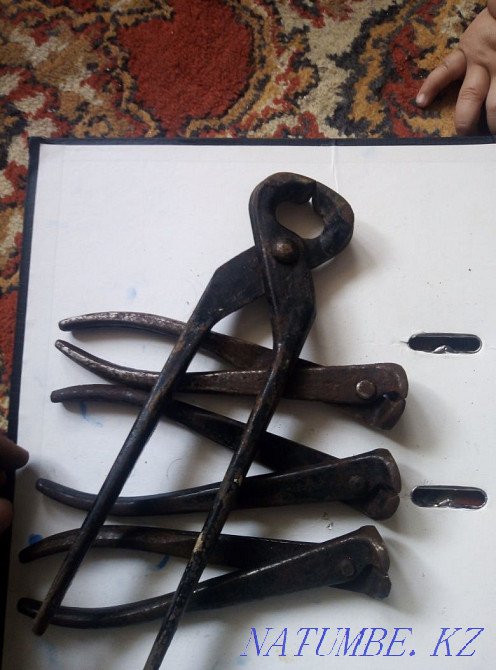 wire cutters Rudnyy - photo 1