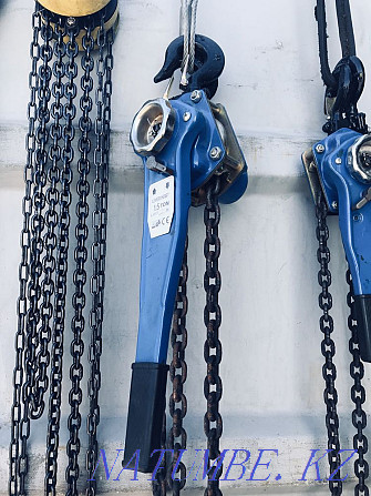 Chain hoist Karagandy - photo 4