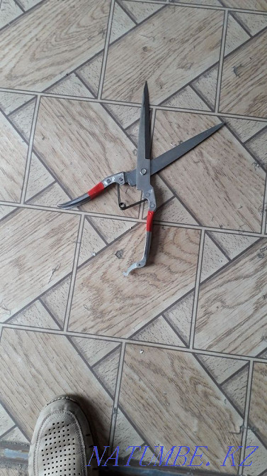 Ножницы для стрижки овец Костанай - изображение 1