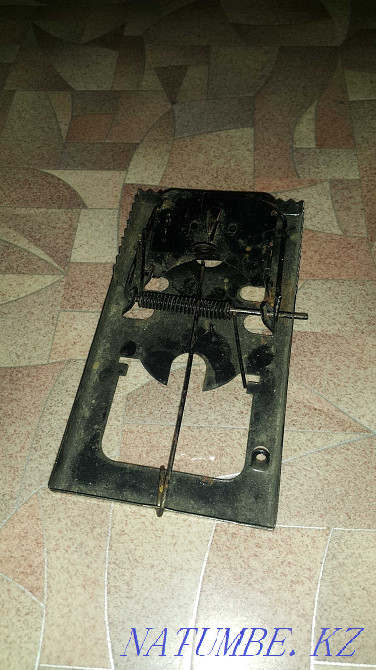 Крысоловка для крыс Актобе - изображение 1