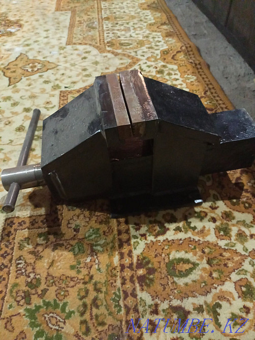 Vice reinforced new Pavlodar - photo 1