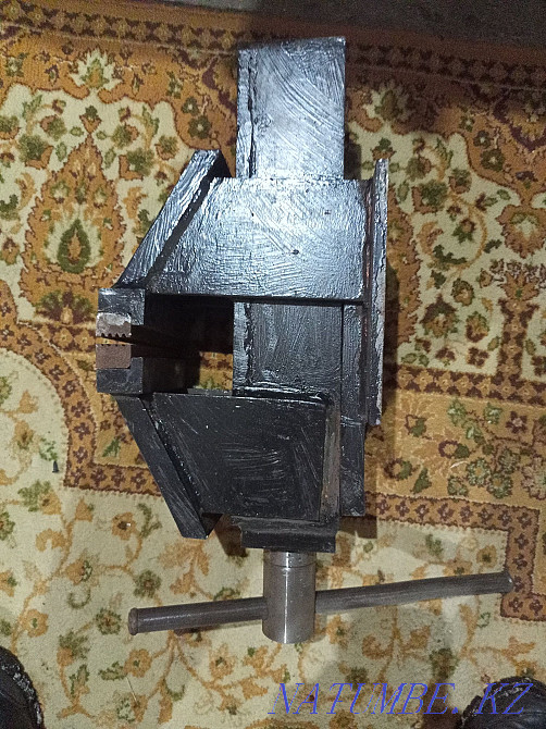 Vice reinforced new Pavlodar - photo 3