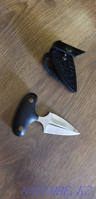 Толковый инструмент Астана - изображение 1