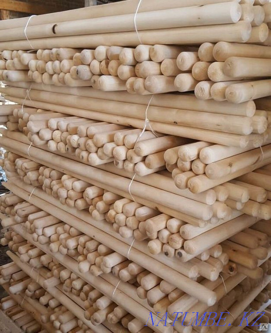 Черенки ! Оптовая продажа Алматы - изображение 3