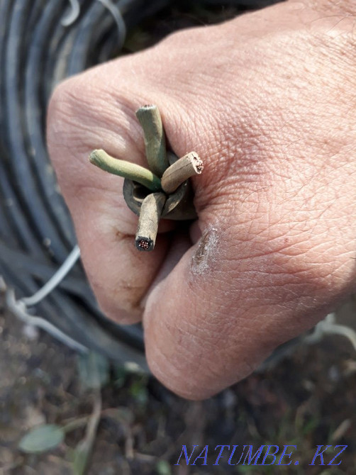 I will sell, welding cable, cable 5*25 VVG Almaty - photo 4