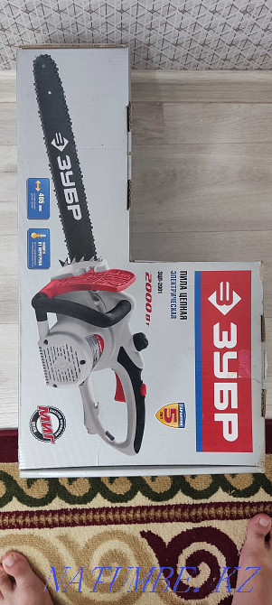 Electric saw Zubr Aqtobe - photo 1