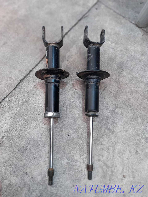 аммортизаторы стойки трибека задние пара, не текут Талдыкорган - изображение 1