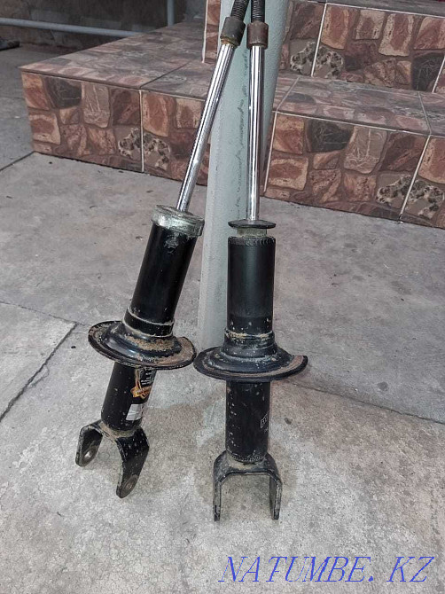 аммортизаторы стойки трибека задние пара, не текут Талдыкорган - изображение 2