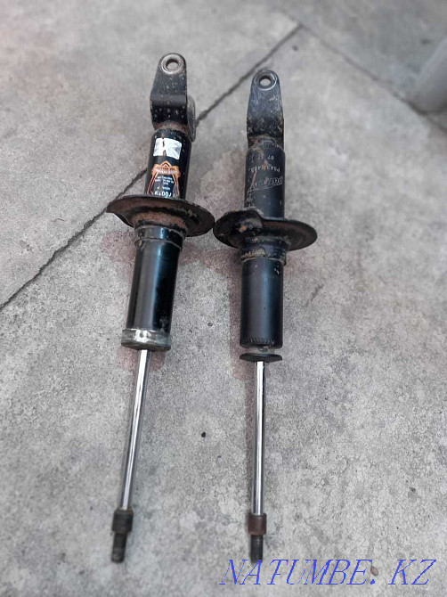 аммортизаторы стойки трибека задние пара, не текут Талдыкорган - изображение 3